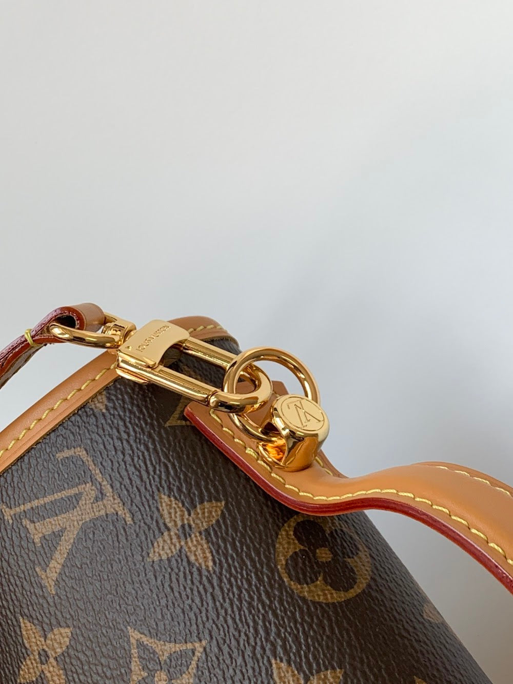 Dragons Bags LVn Luxury Bag --78958