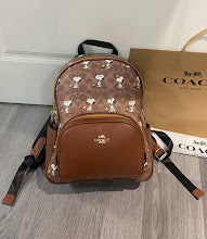 new-designer-premium-bags-nm6278