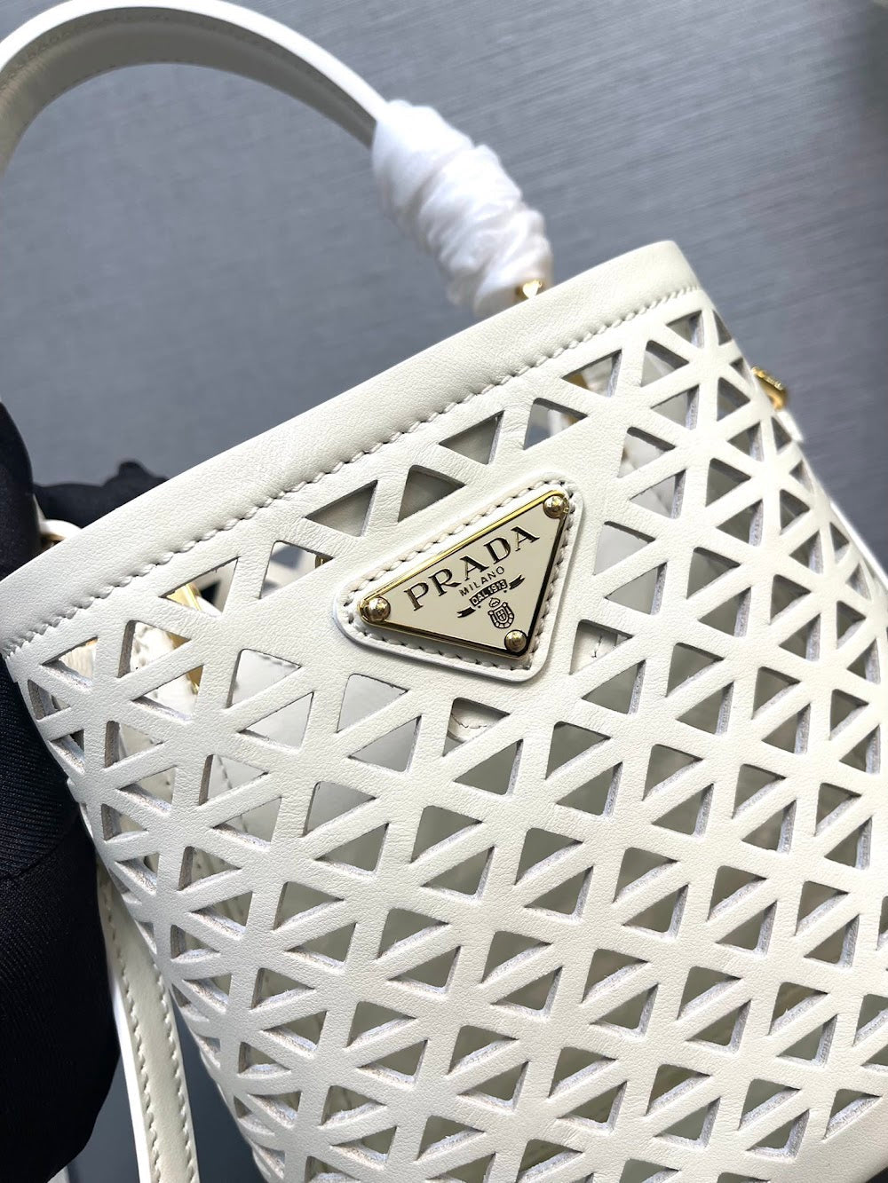 Dragons Bags Pradn Luxury Bag --102049
