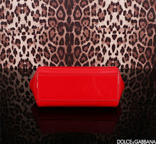 new-designer-premium-bags-nm6962