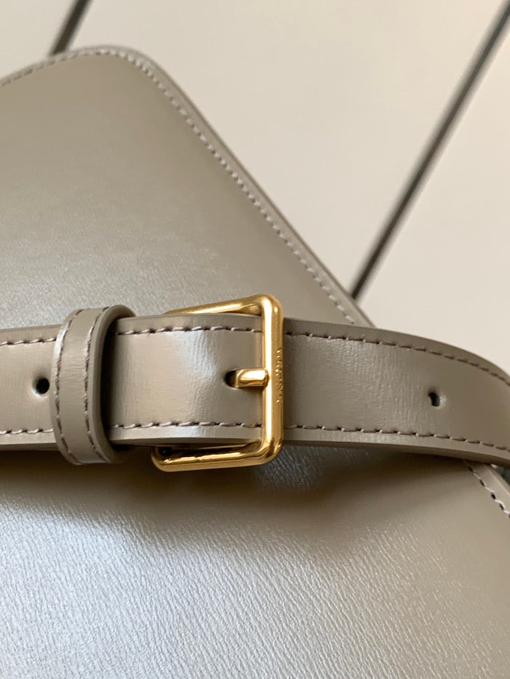 Dragons Bags Celine Luxury Bag --112583