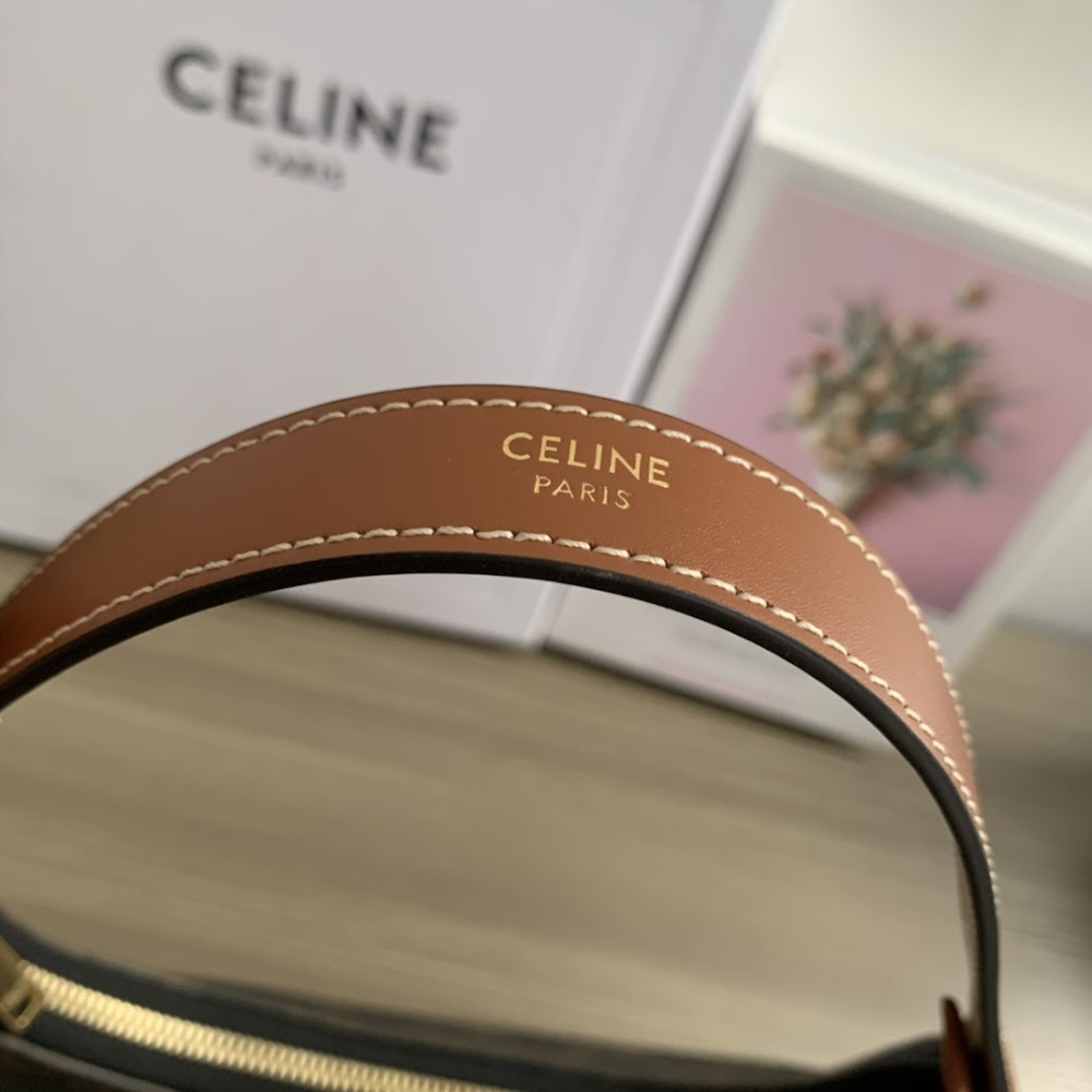 Dragons Bags Celine Luxury Bag --111966
