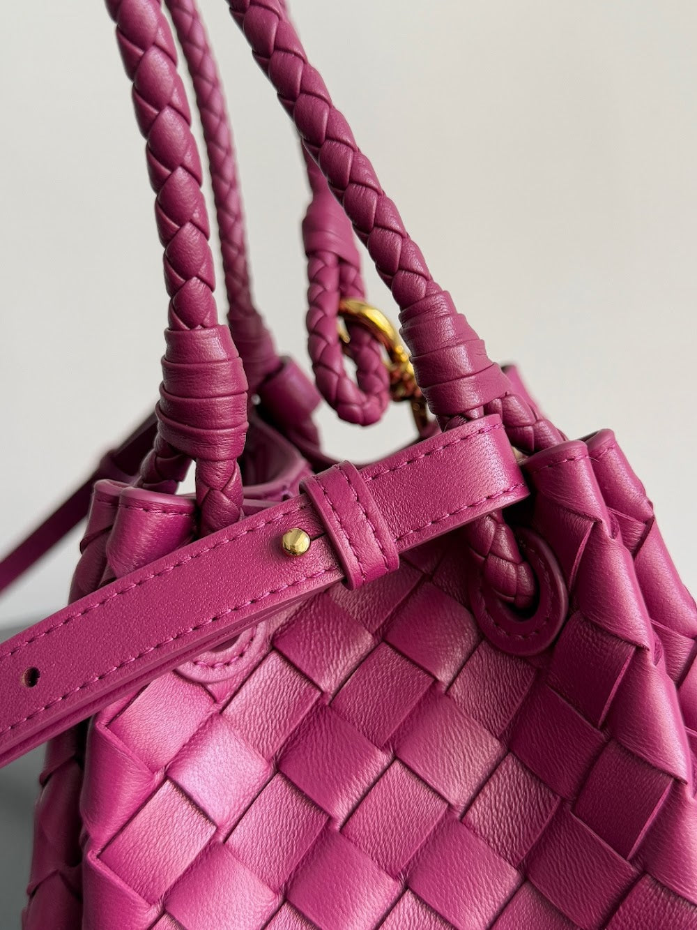 Dragons Bags Bottegan Luxury Bag --91112