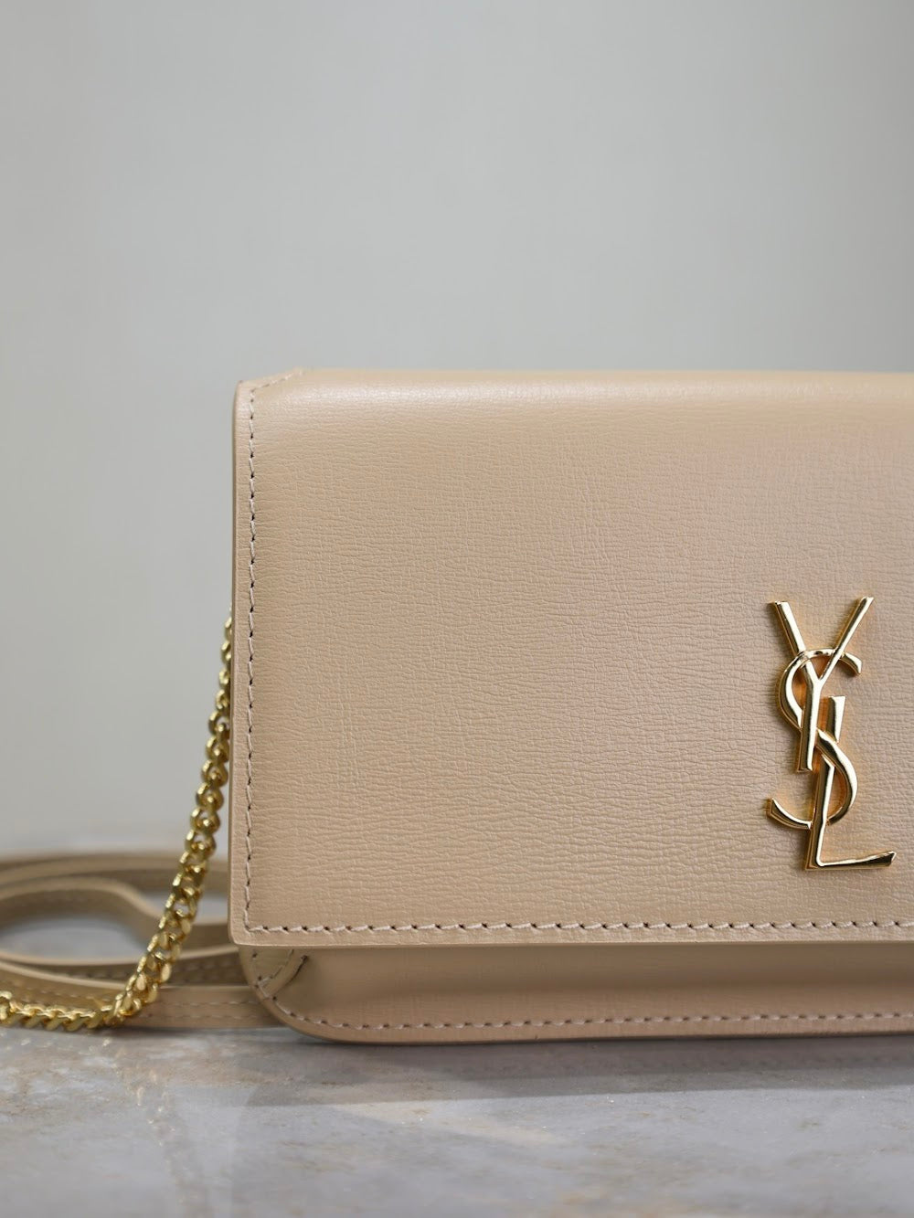 Dragons Bags YSLn Luxury Bag --120478