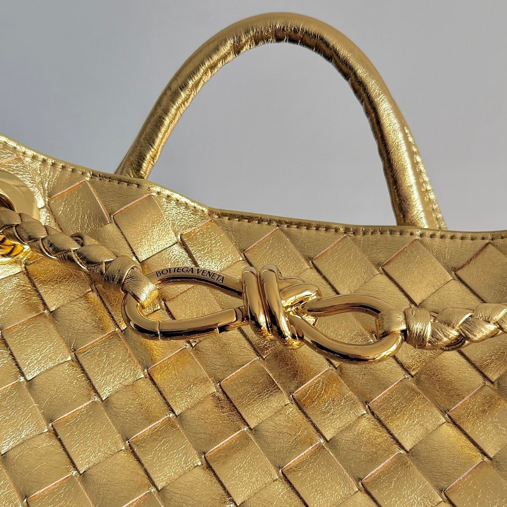 Dragons Bags Bottegan Luxury Bag --91313