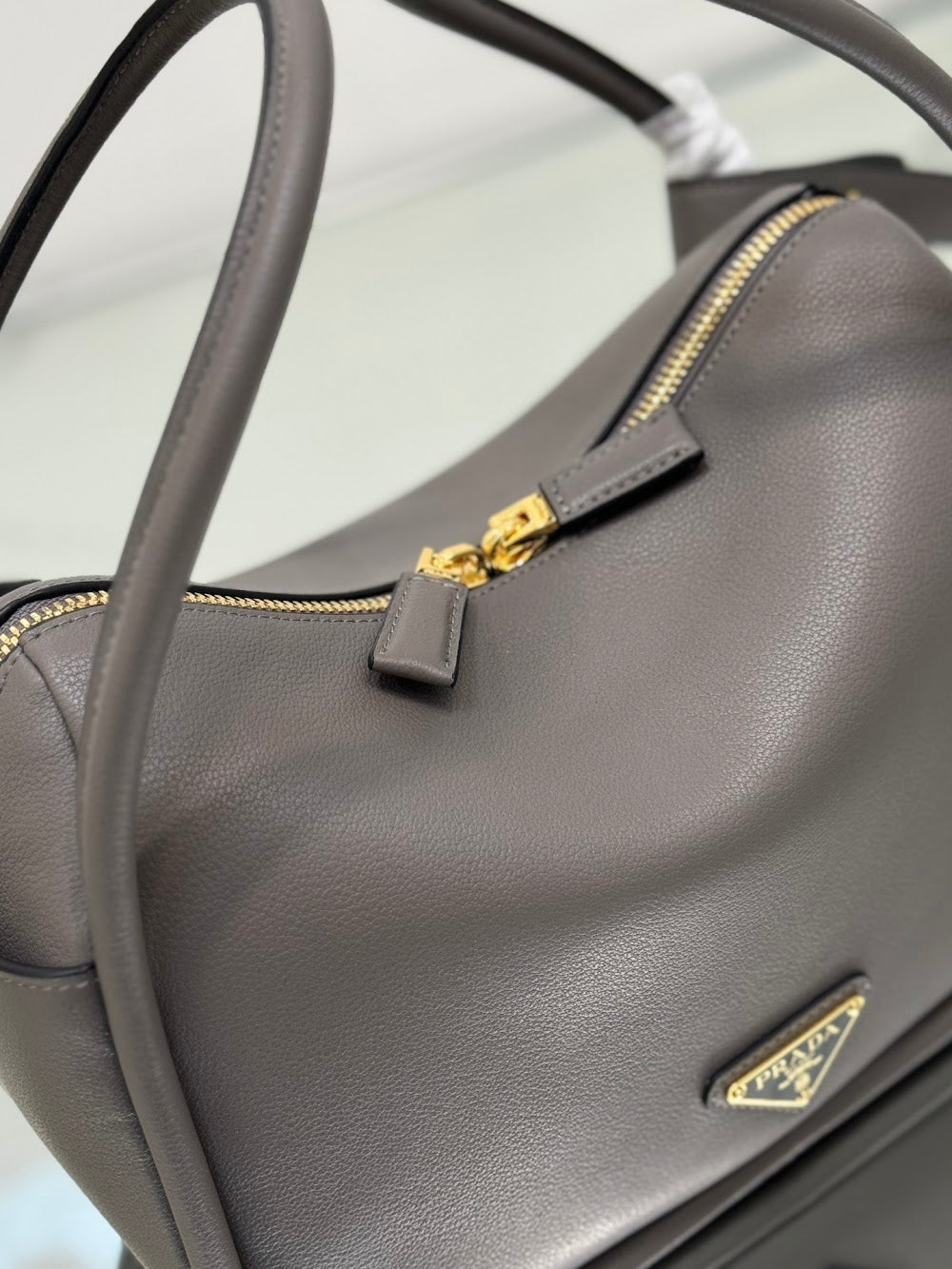 Dragons Bags Pradn Luxury Bag --101878
