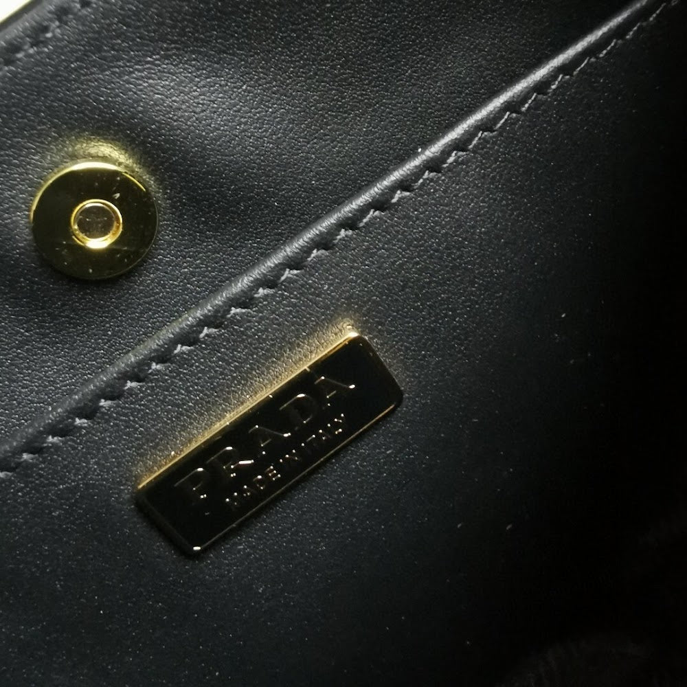 Dragons Bags Pradn Luxury Bag --102253