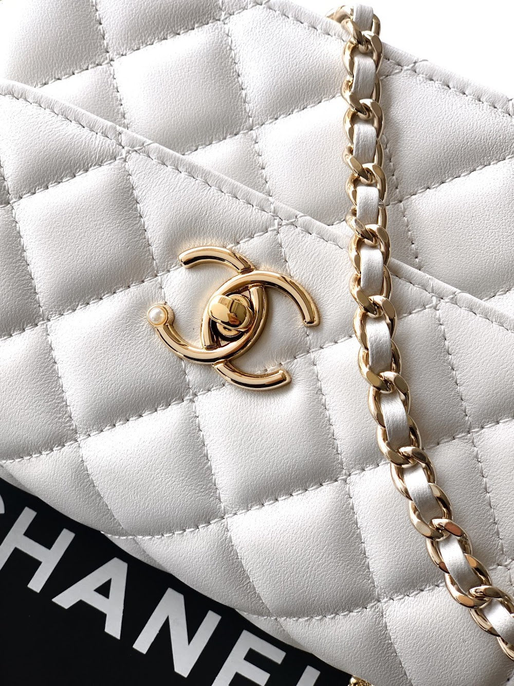 Dragons BagsCHn Luxury Bag --113959