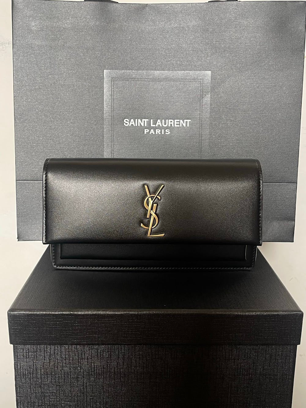 Dragons Bags YSLn Luxury Bag --119100