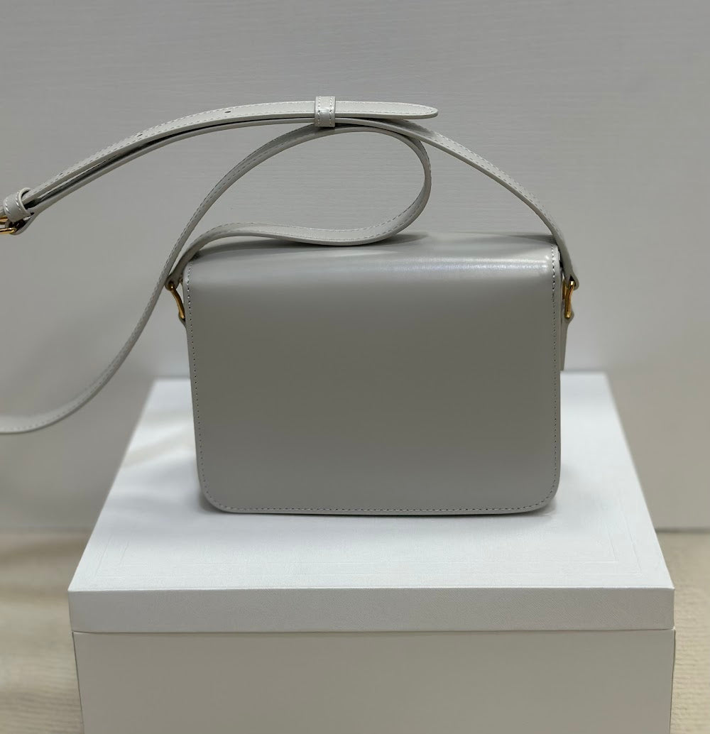Dragons Bags Celine Luxury Bag --111998