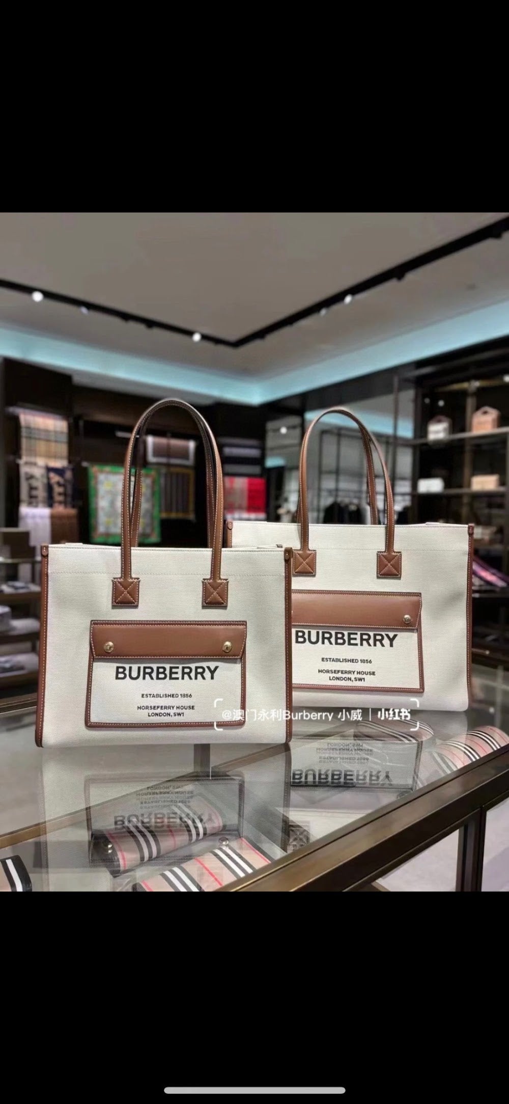 Dragons Bags Burberryn Luxury Bag --92751