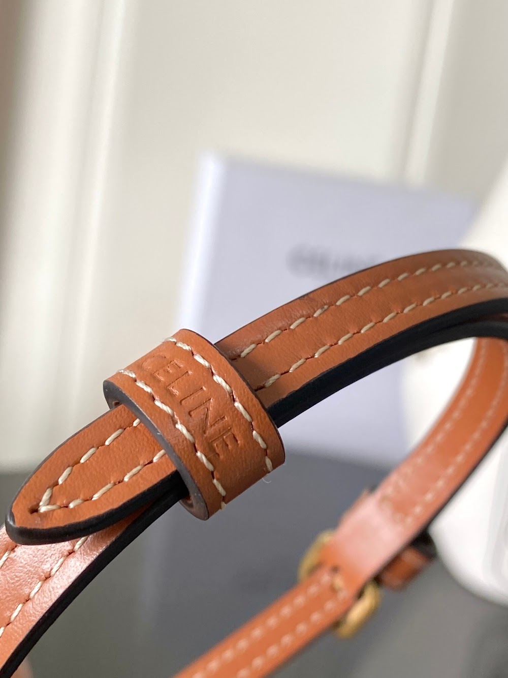 Dragons Bags Celine Luxury Bag --112100