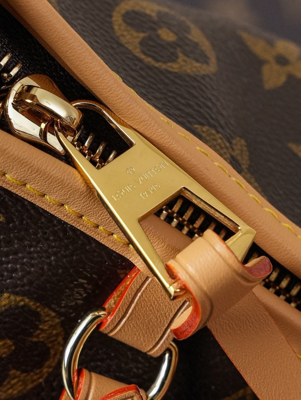 Dragons Bags LVn Luxury Bag --79468
