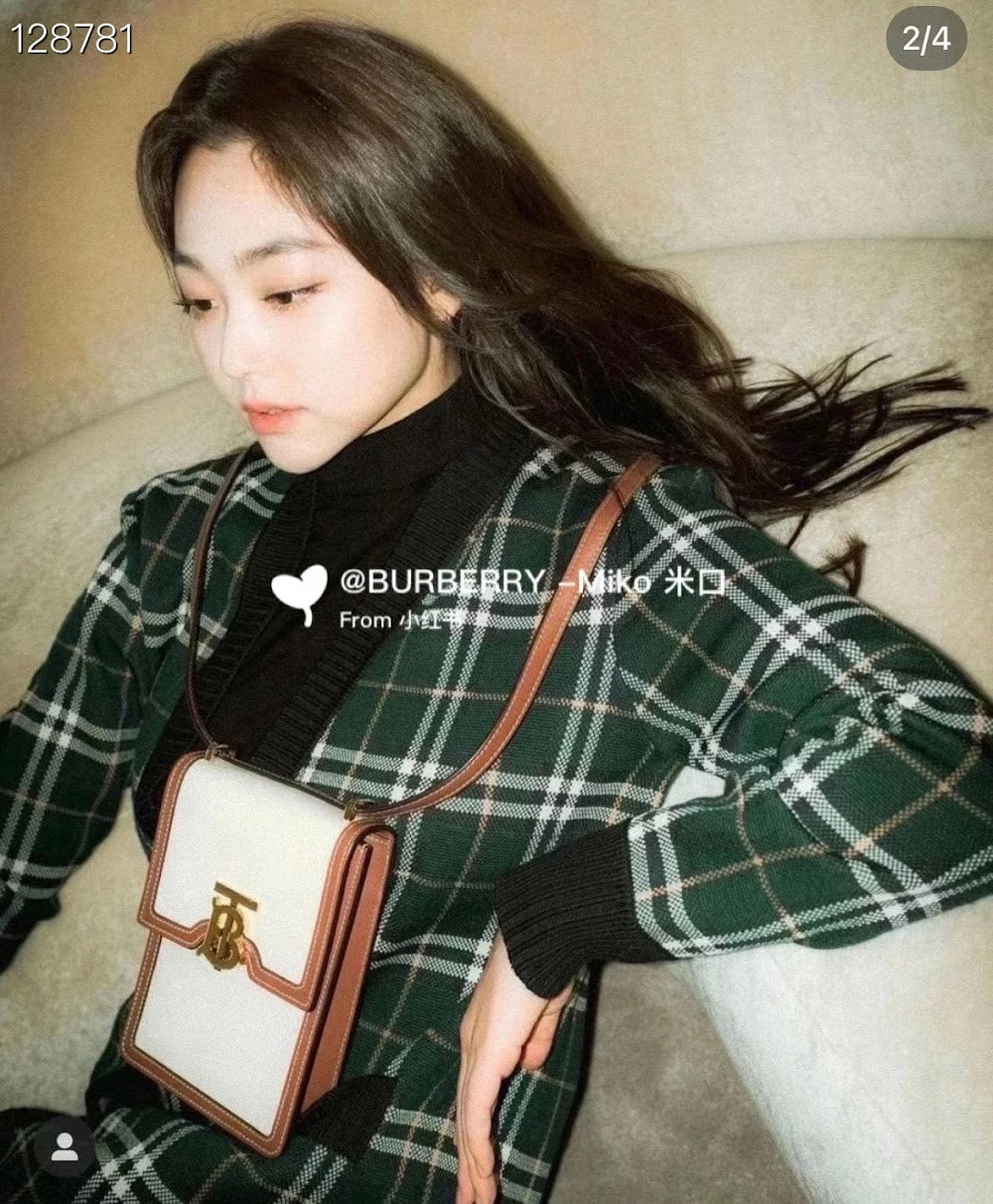 Dragons Bags Burberryn Luxury Bag --91604