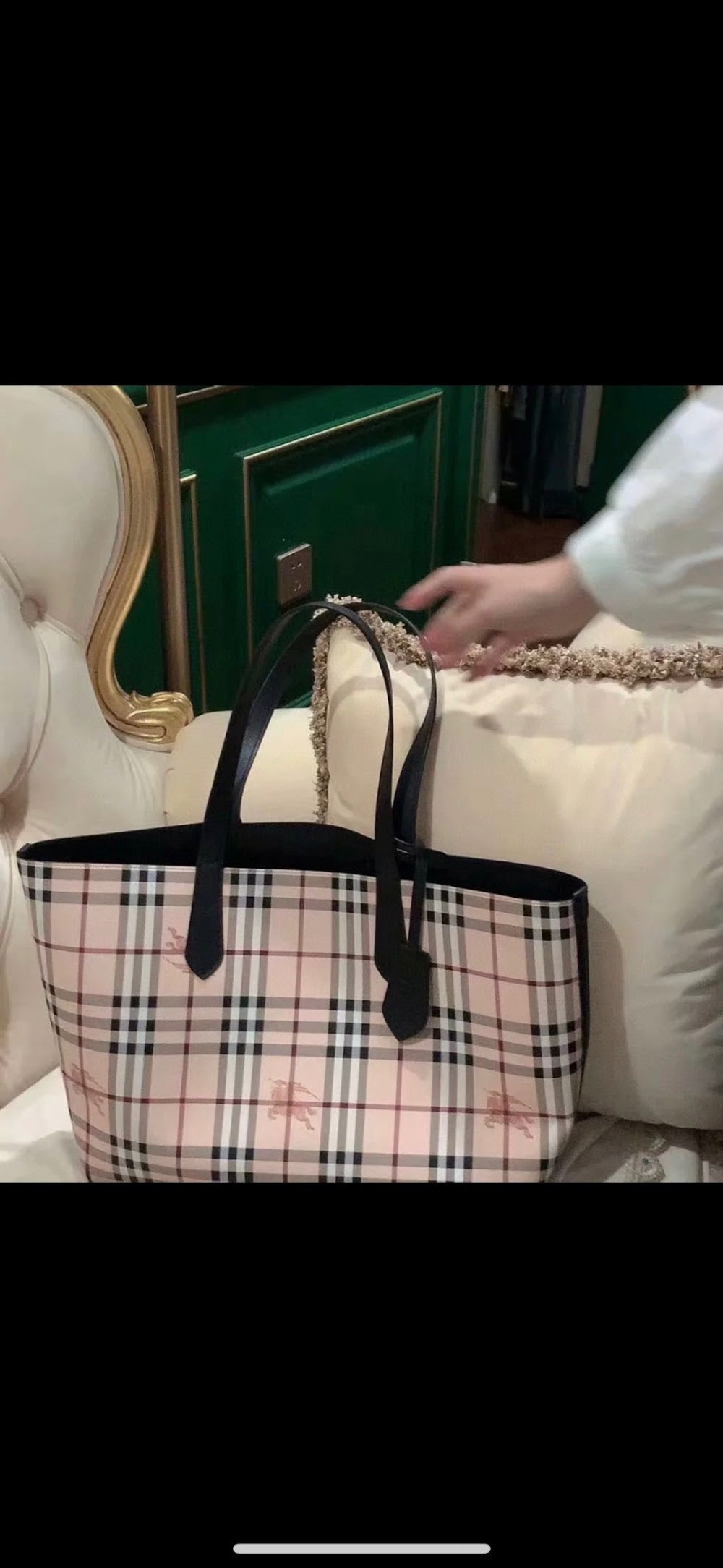 Dragons Bags Burberryn Luxury Bag --91688