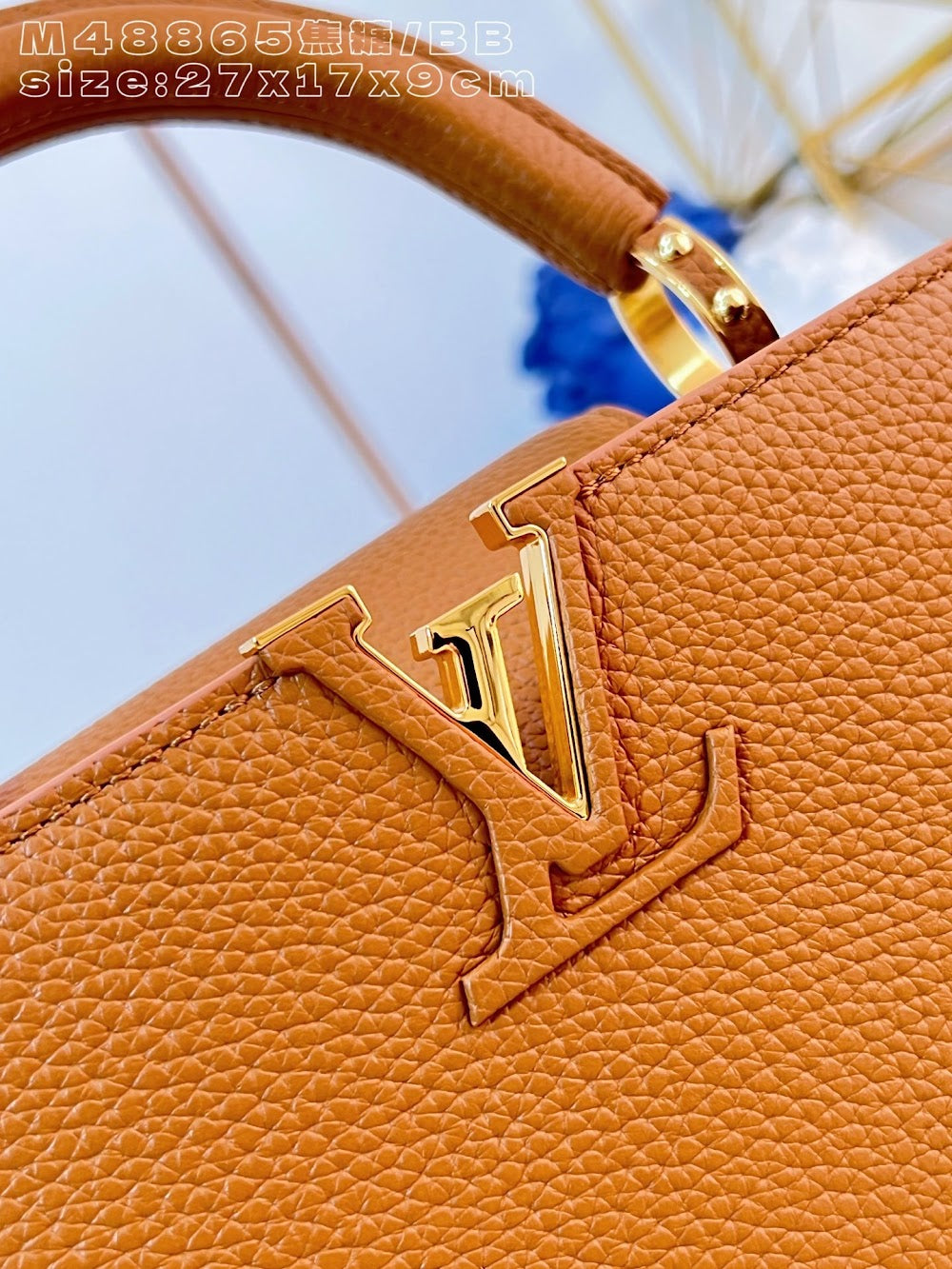 Dragons Bags ln Luxury Bag --95847