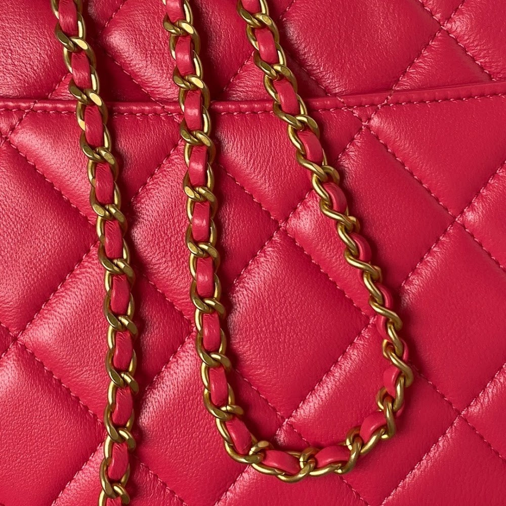 new-luxury-designer-bags-nm10098