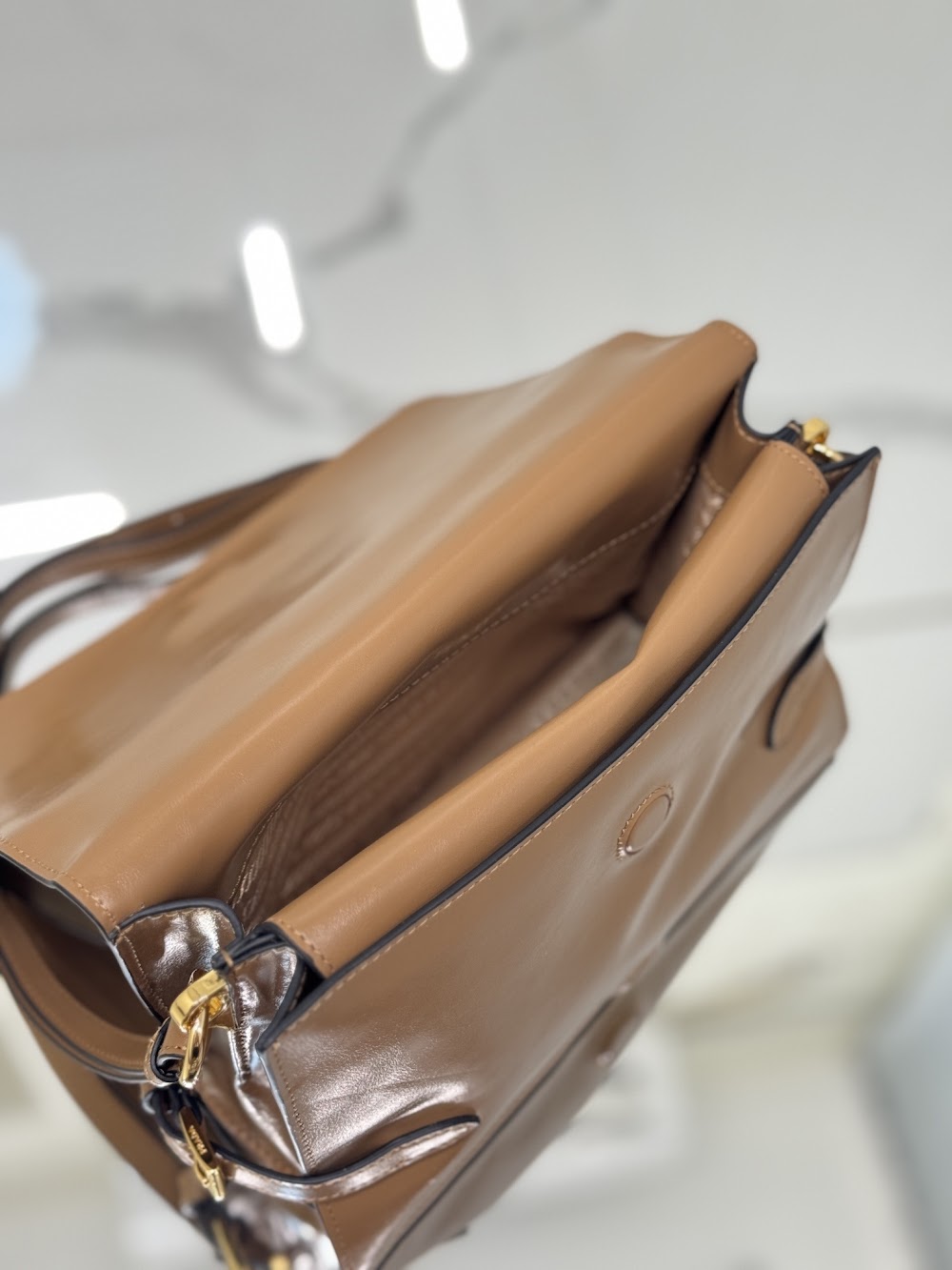Dragons Bags Pradn Luxury Bag --102877