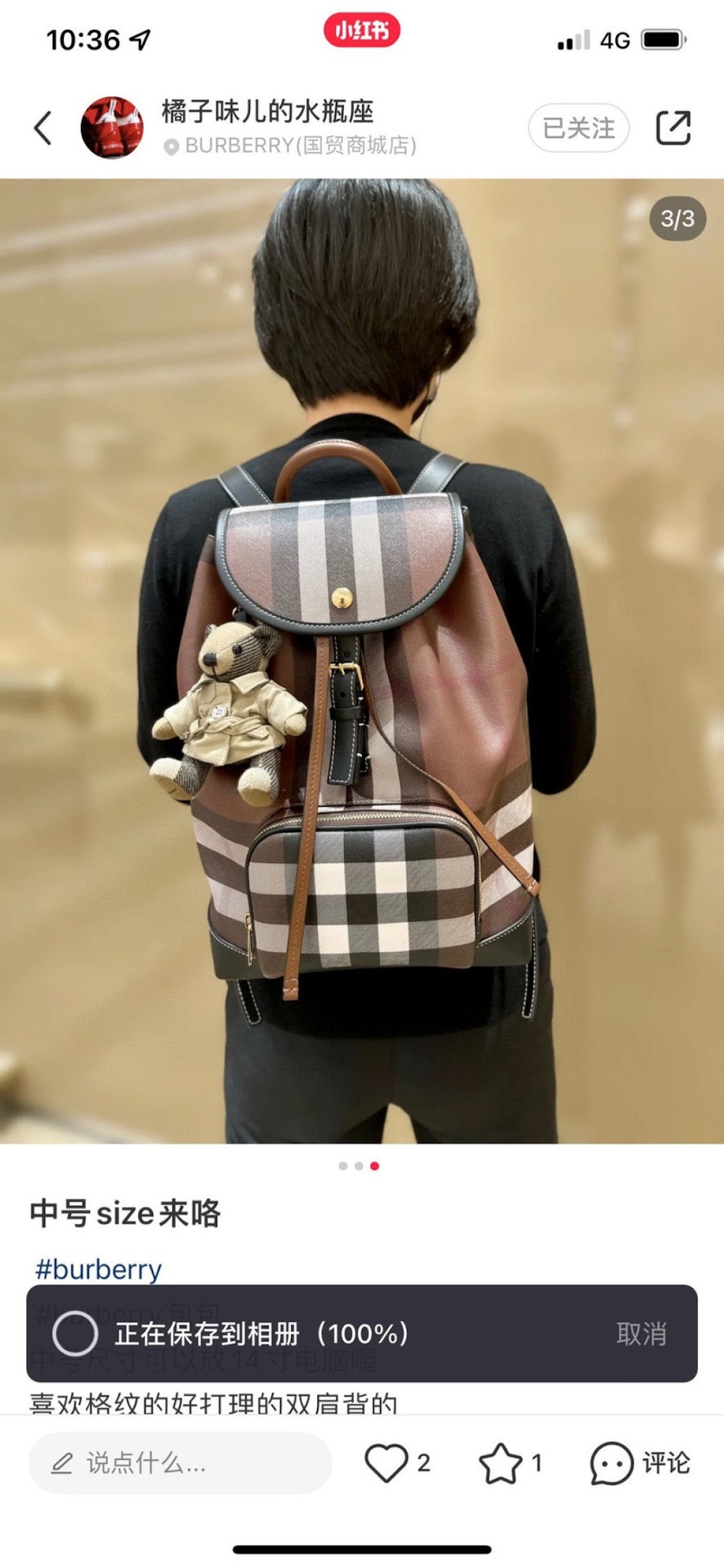 Dragons Bags Burberryn Luxury Bag --92944