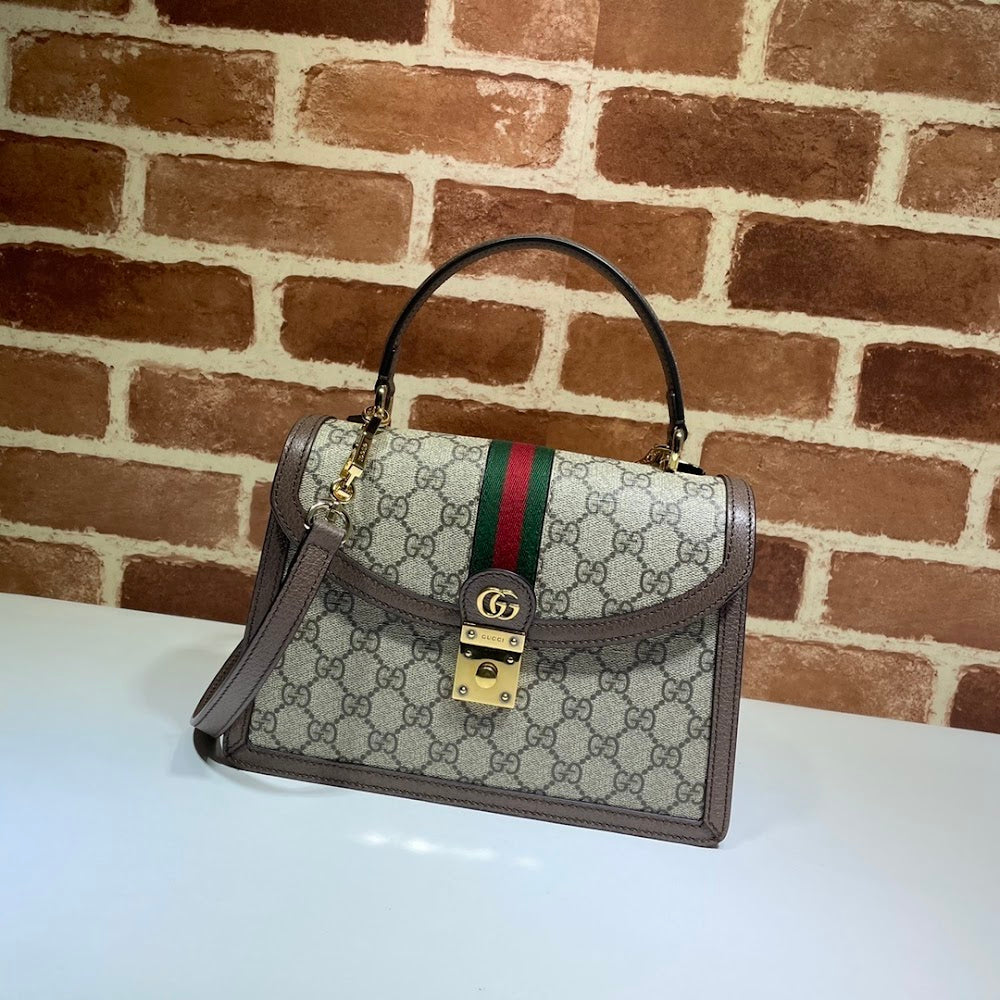 Dragons Bags Guccin Luxury Bag --95456