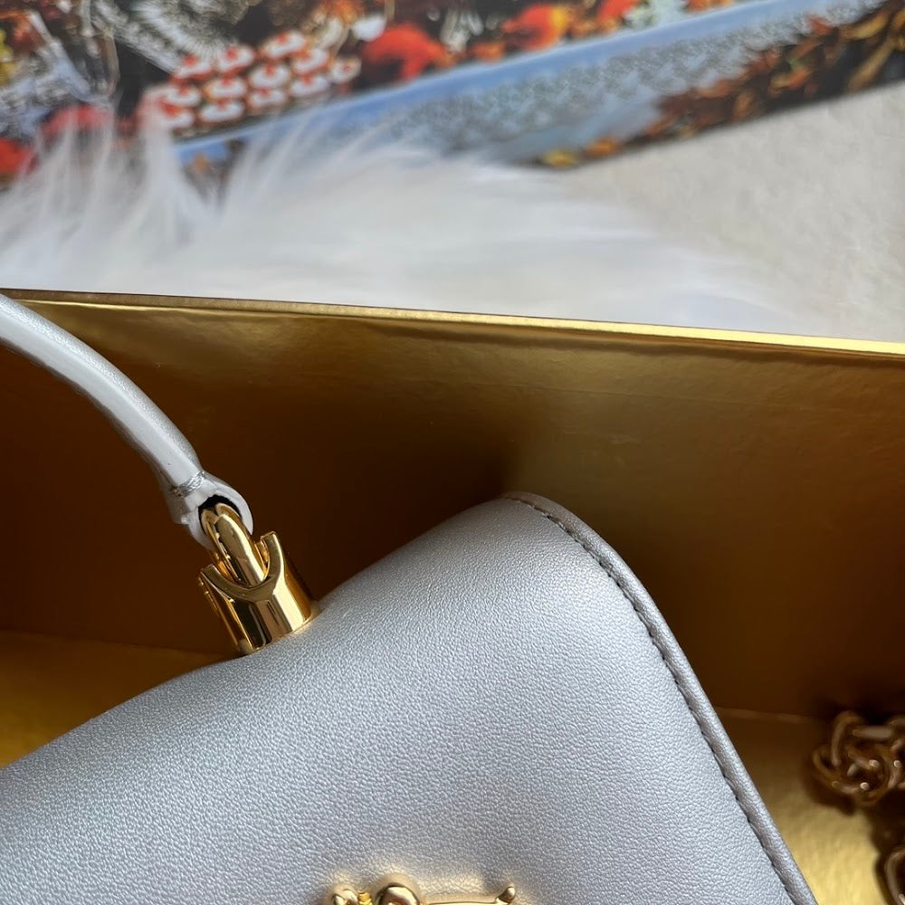Dragons Bags DGn Luxury Bag --93789