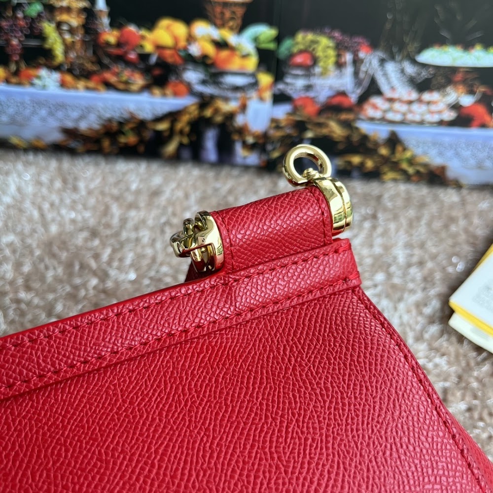 Dragons Bags DGn Luxury Bag --94133