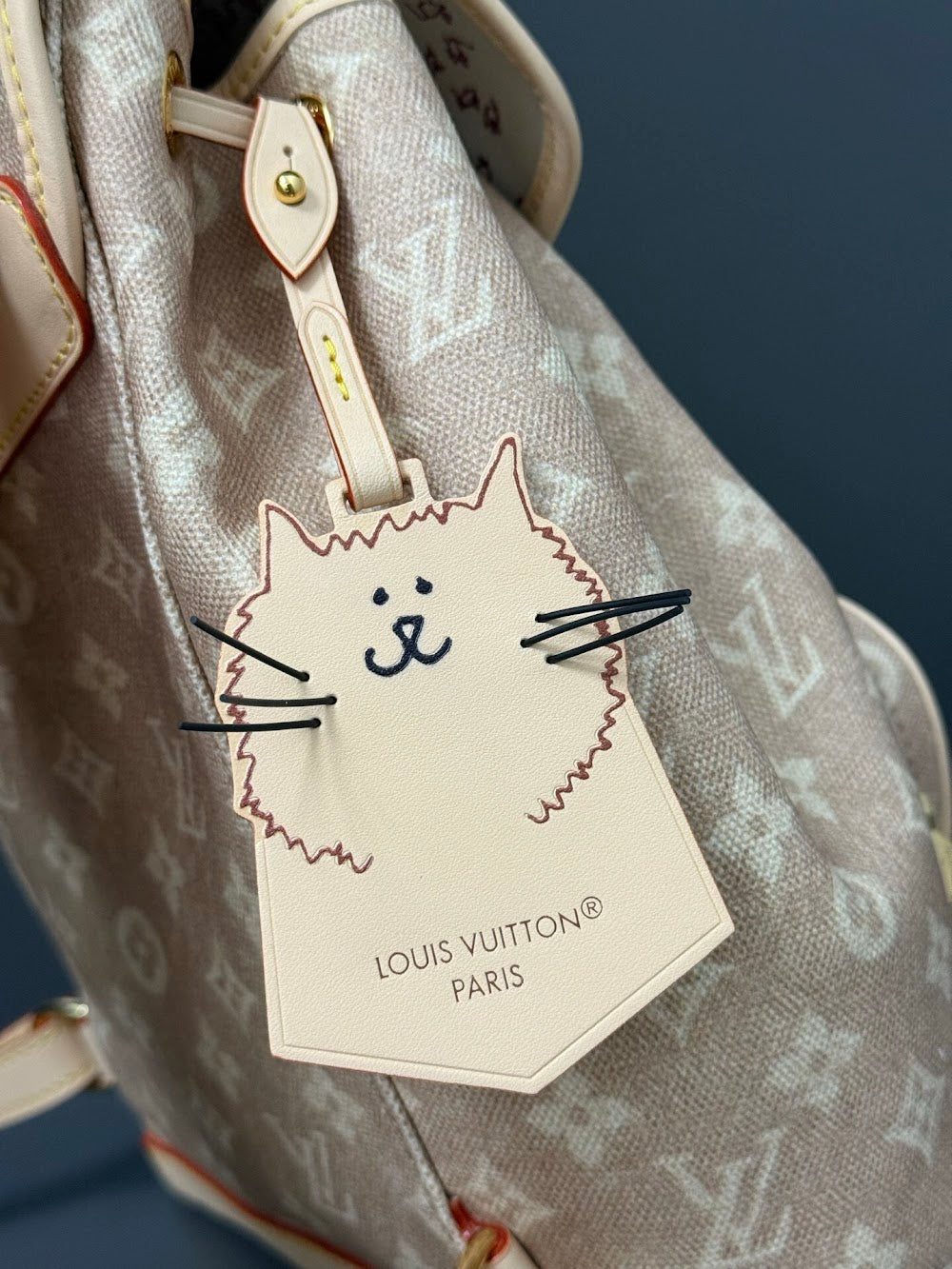 Dragons Bags ln Luxury Bag --96841