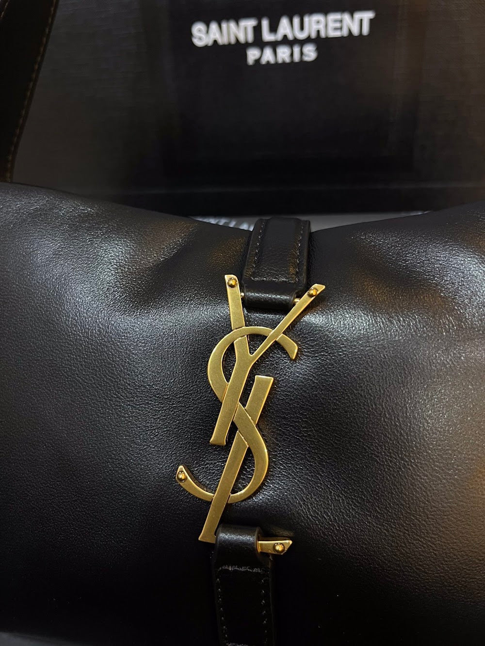 Dragons Bags YSLn Luxury Bag --119093