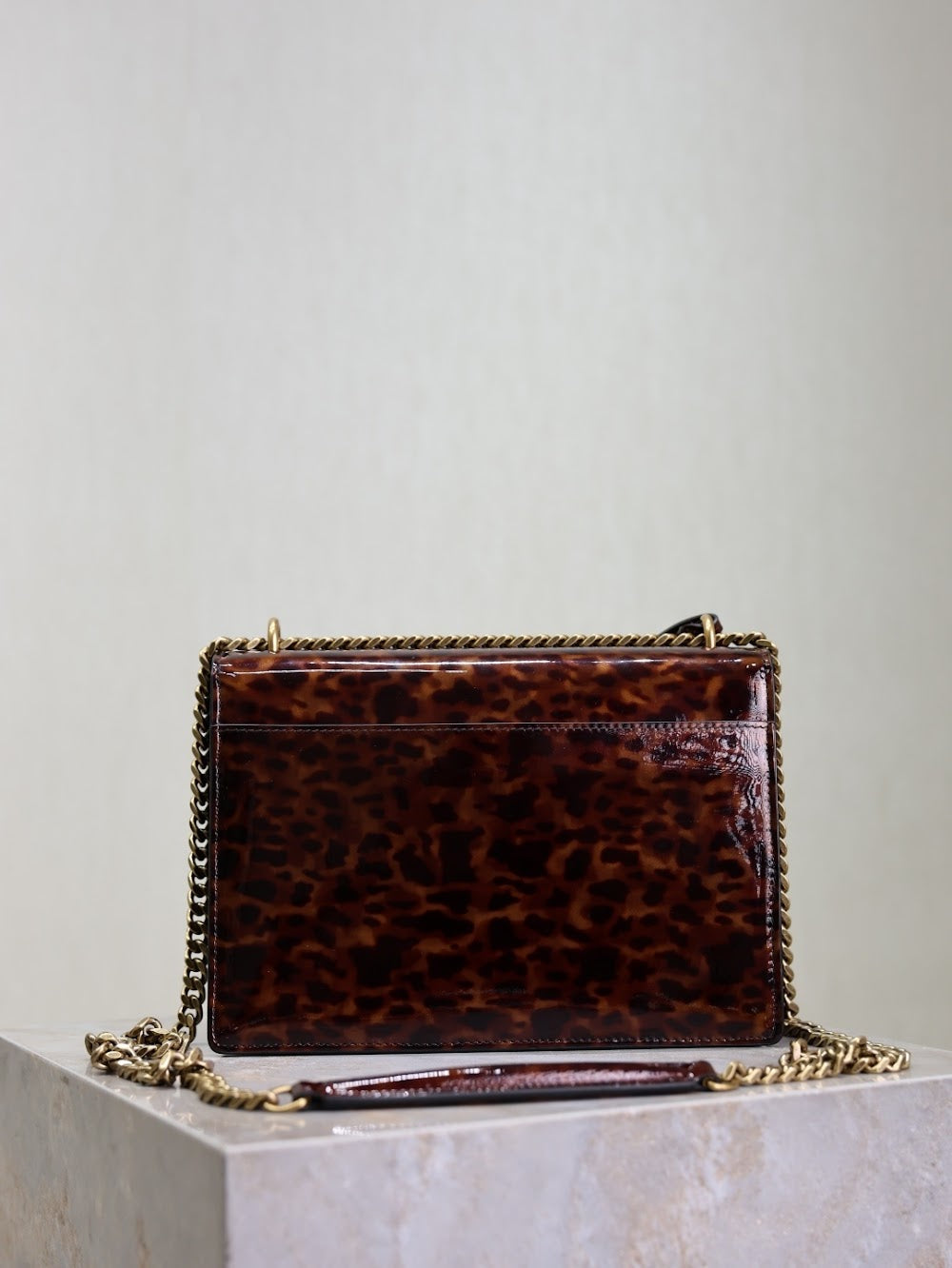 Dragons Bags YSLn Luxury Bag --119669