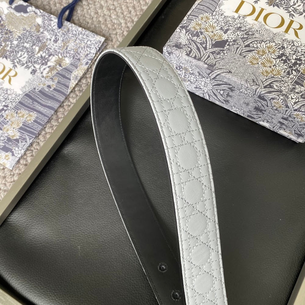 Dragons Bags Diorn Luxury Belt --107713