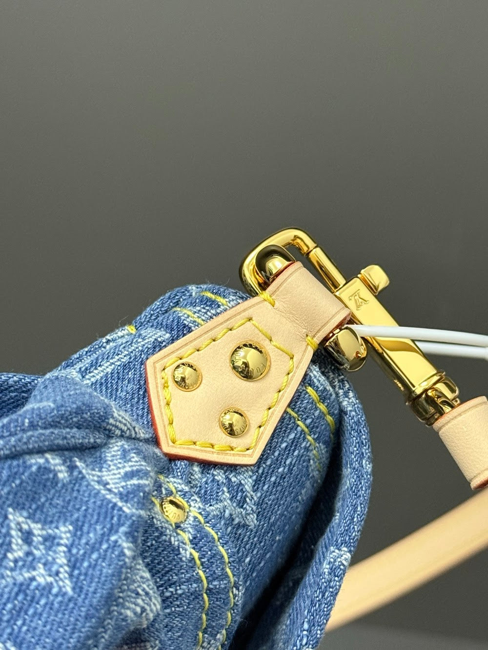Dragons Bags ln Luxury Bag --96914