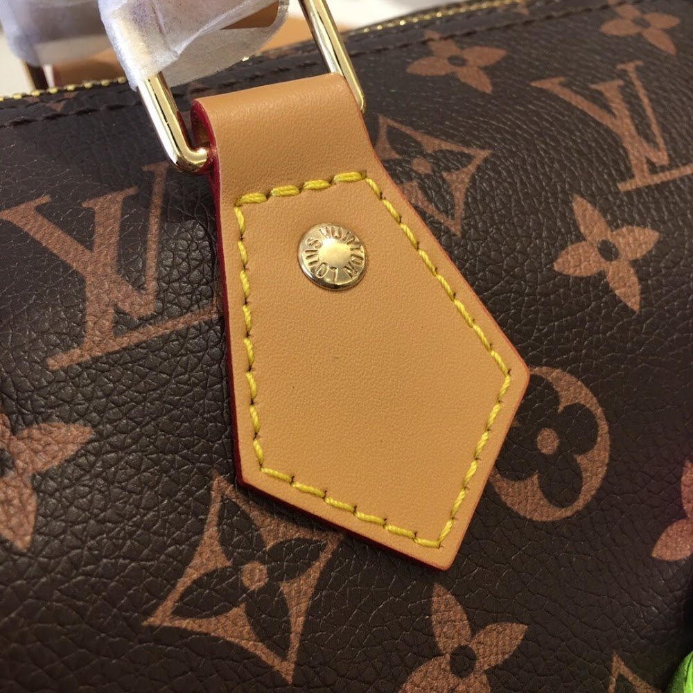Dragons Bags ln Luxury Bag --76550