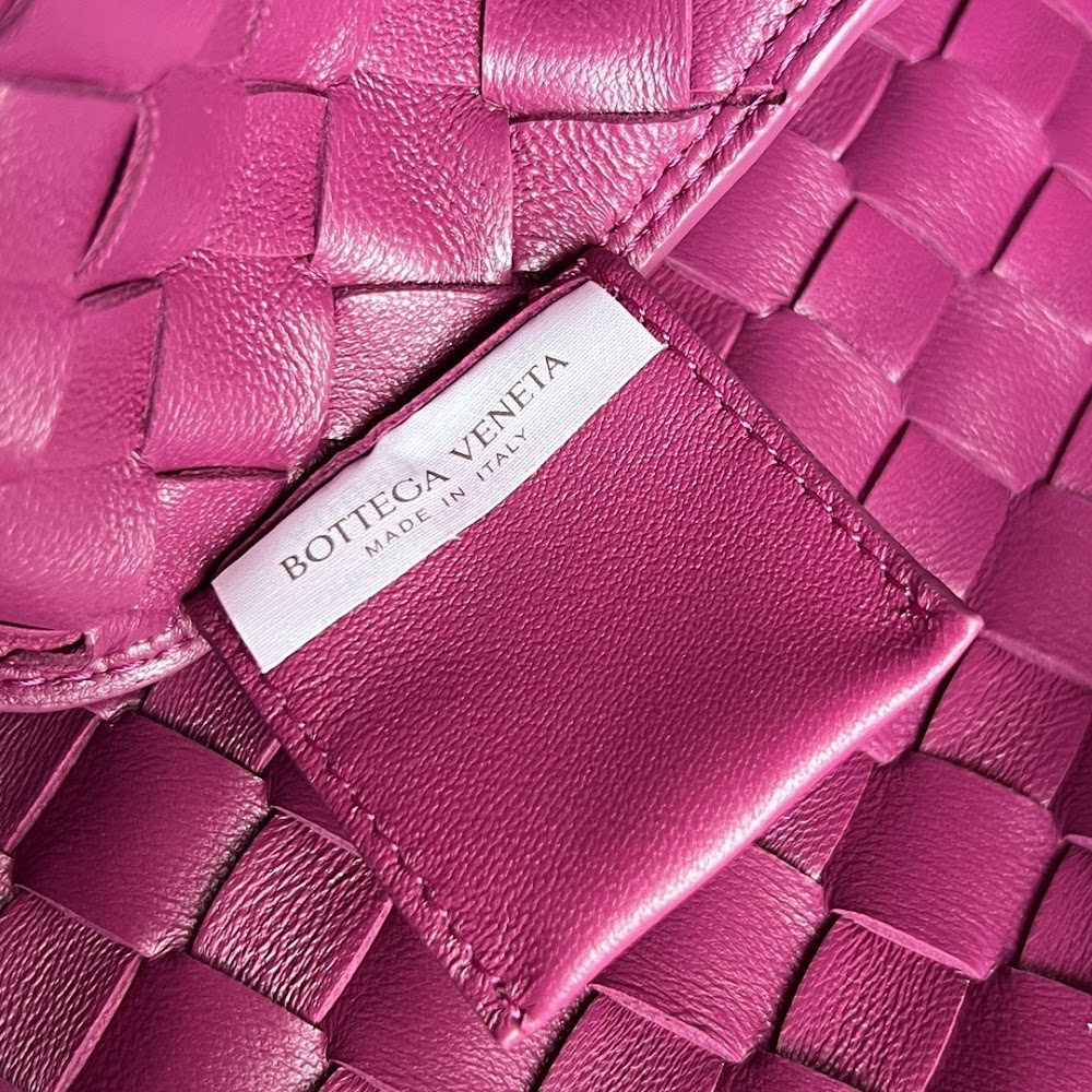 Dragons Bags Bottegan Luxury Bag --90813