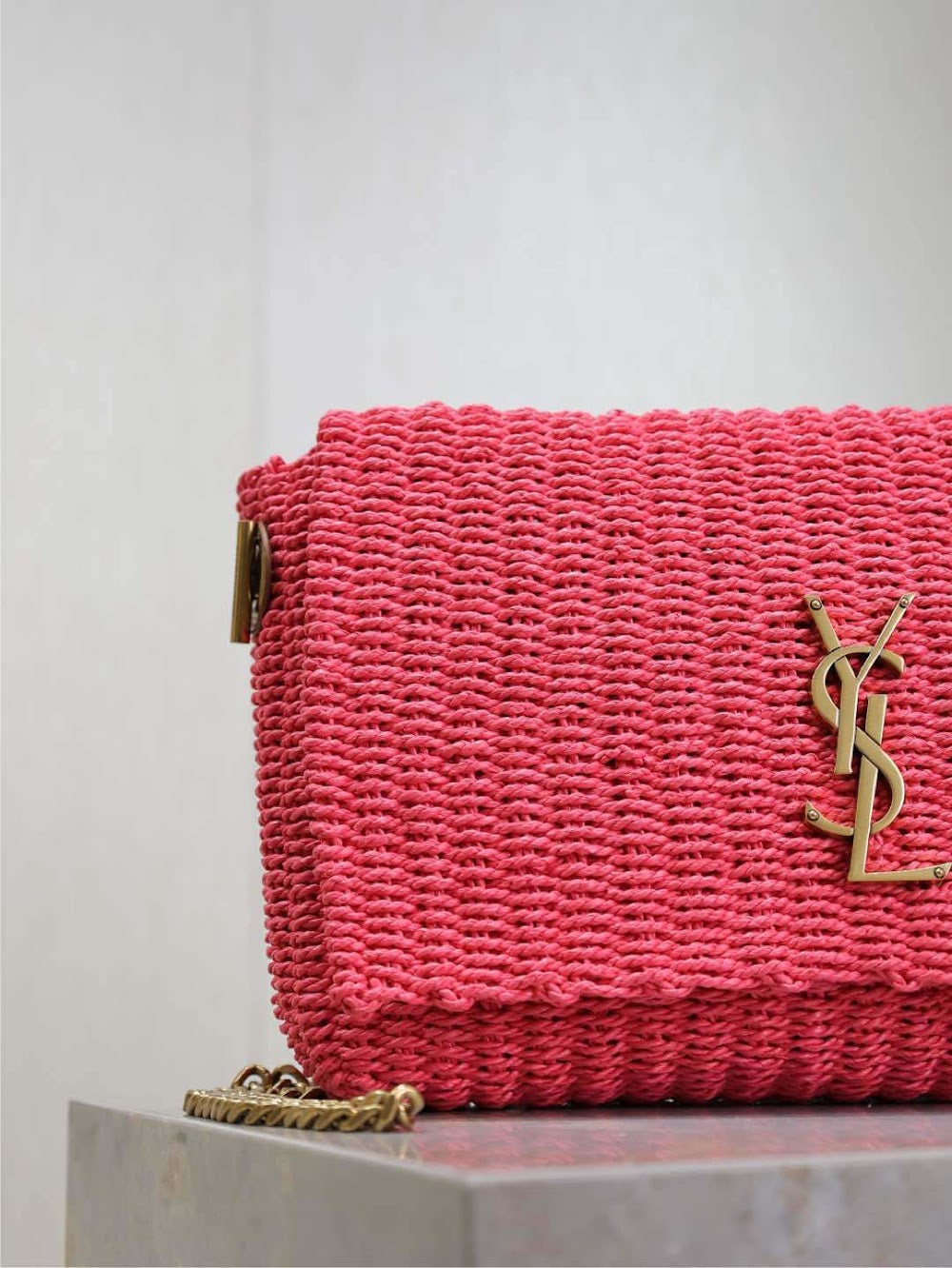 Dragons Bags YSLn Luxury Bag --120231