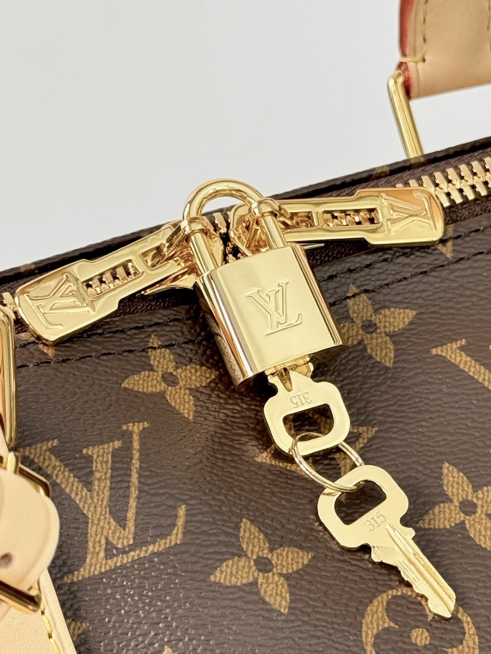 Dragons Bags ln Luxury Bag --96784