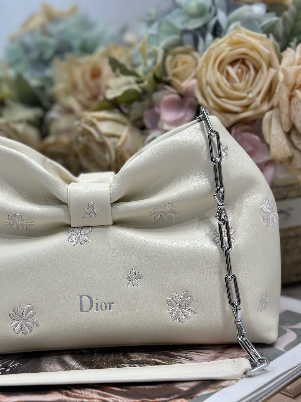 Dragons BagsDiorn Luxury Bag --115480