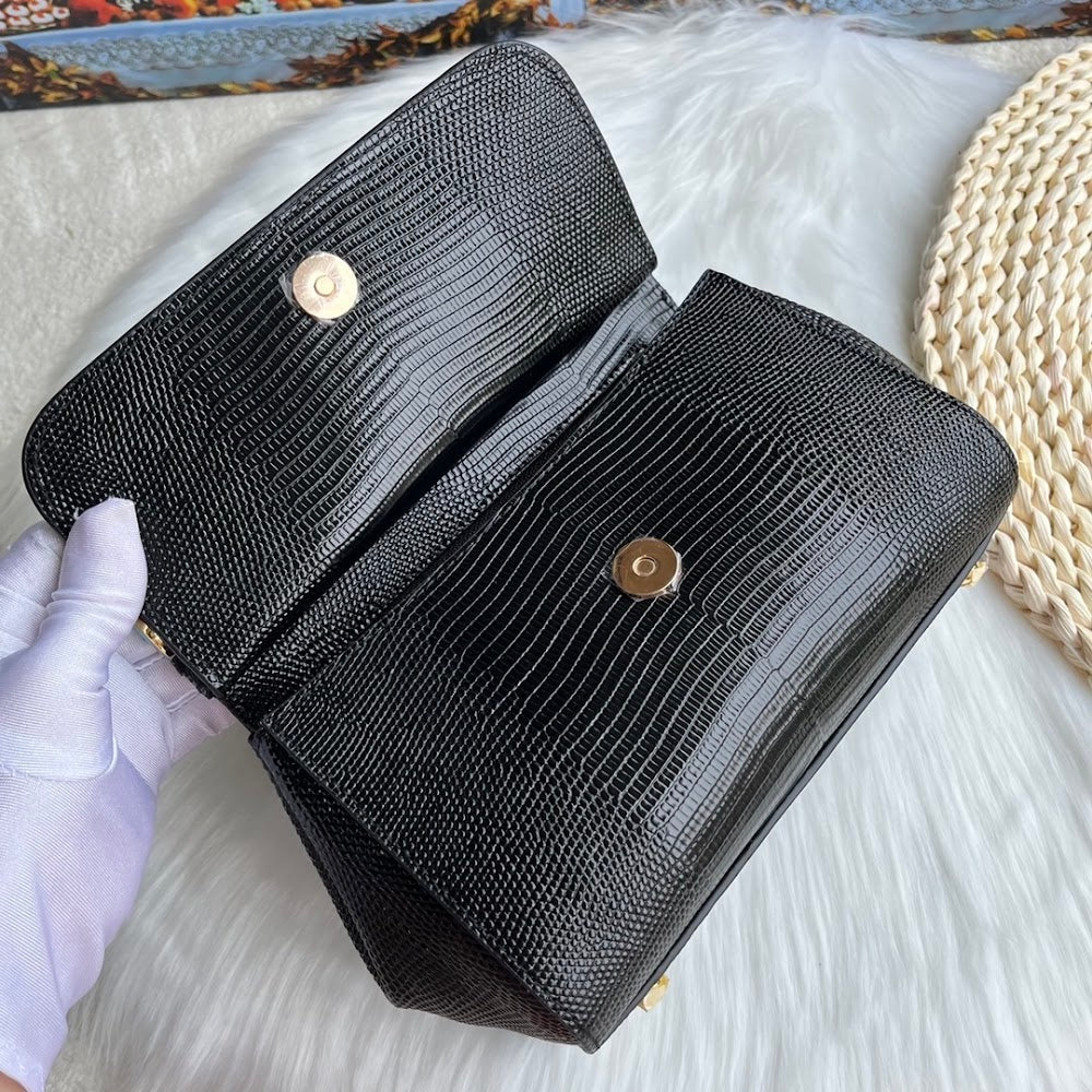 Dragons Bags DGn Luxury Bag --93826