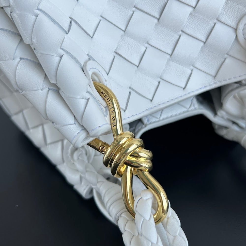Dragons Bags Bottegan Luxury Bag --91040