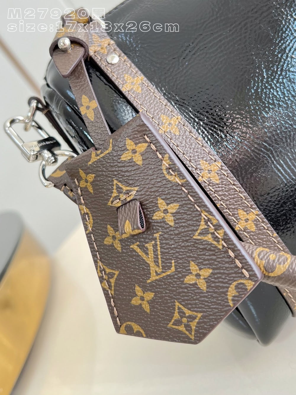 Dragons Bags ln Luxury Bag --95836