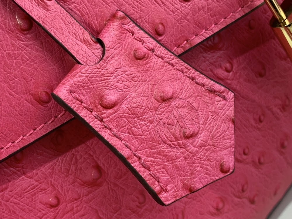 Dragons Bags ln Luxury Bag --57650