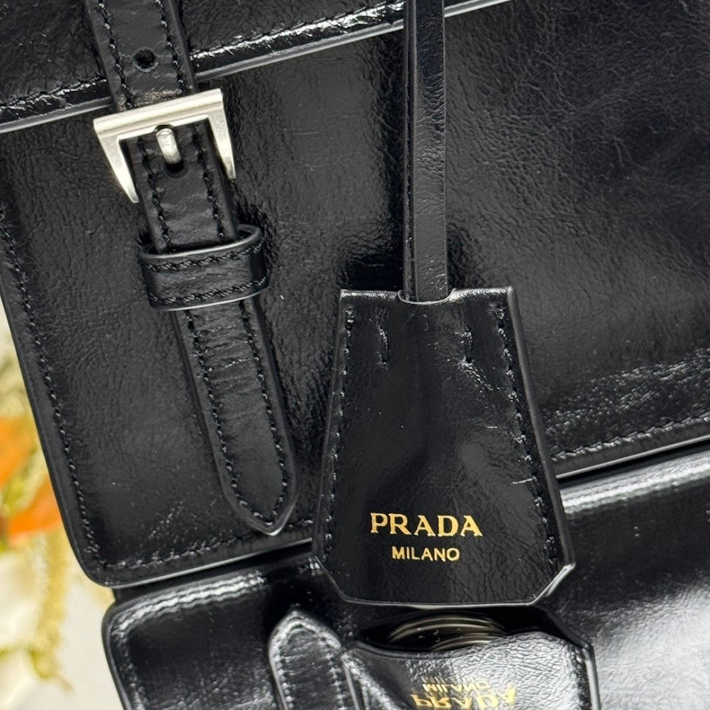 Dragons Bags Pradn Luxury Bag --102582