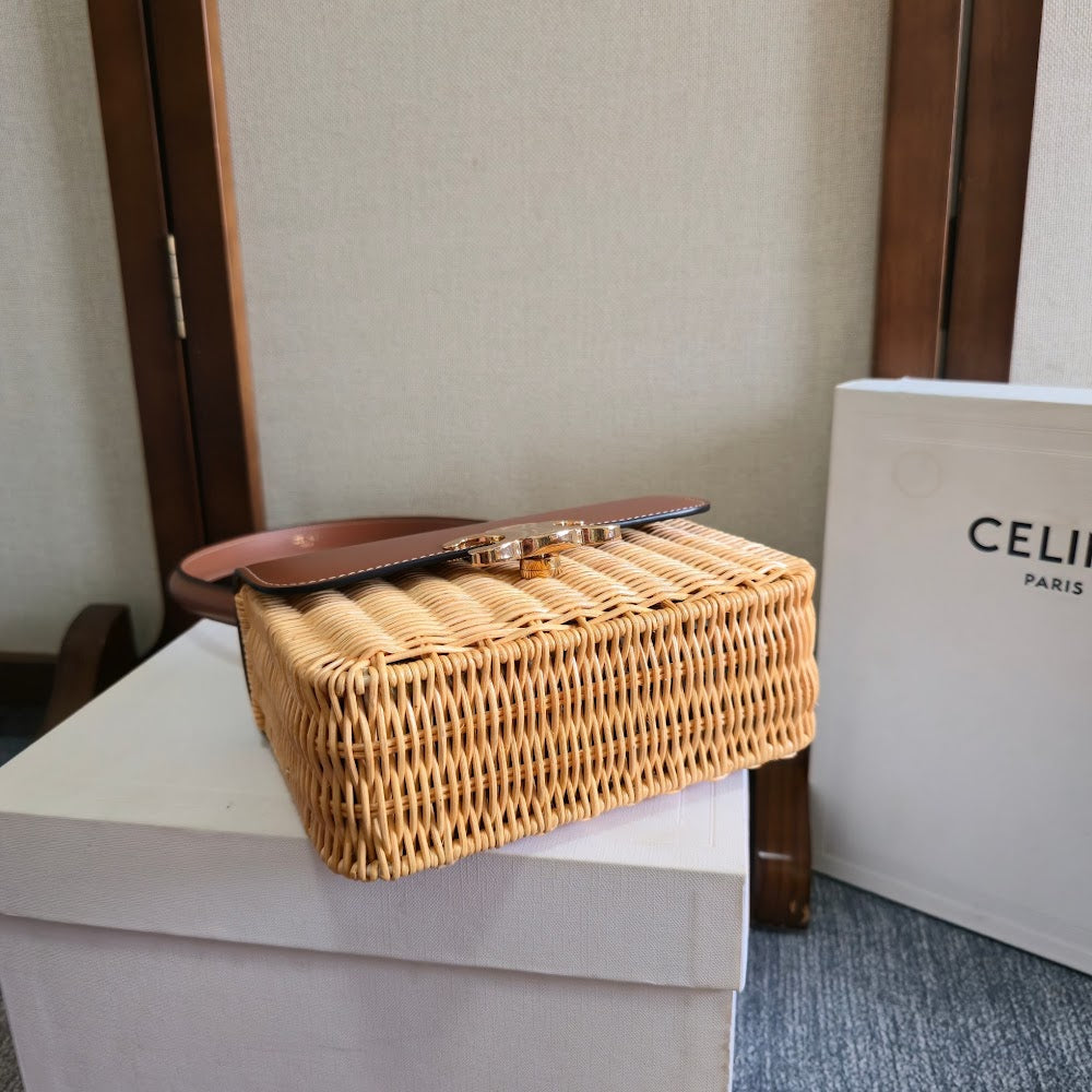 Dragons Bags Celine Luxury Bag --112243