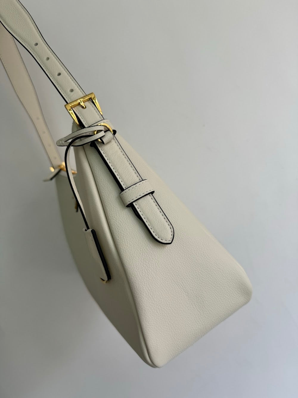 Dragons Bags Pradn Luxury Bag --102557