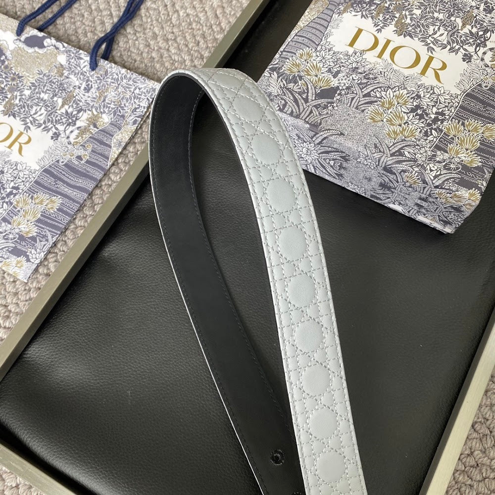 Dragons Bags Diorn Luxury Belt --104860