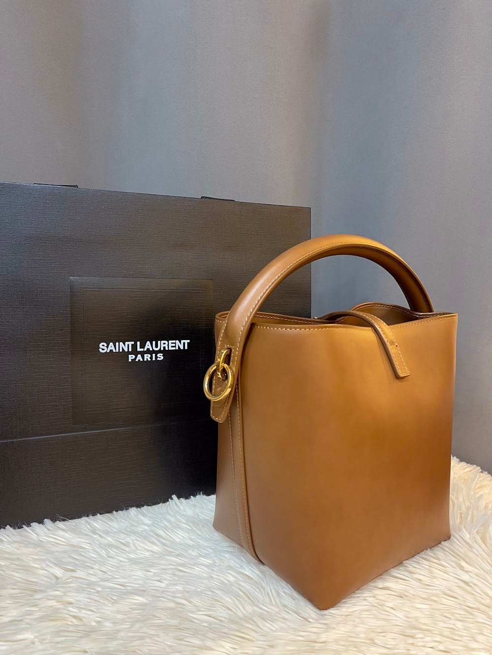 Dragons Bags YSLn Luxury Bag --119072
