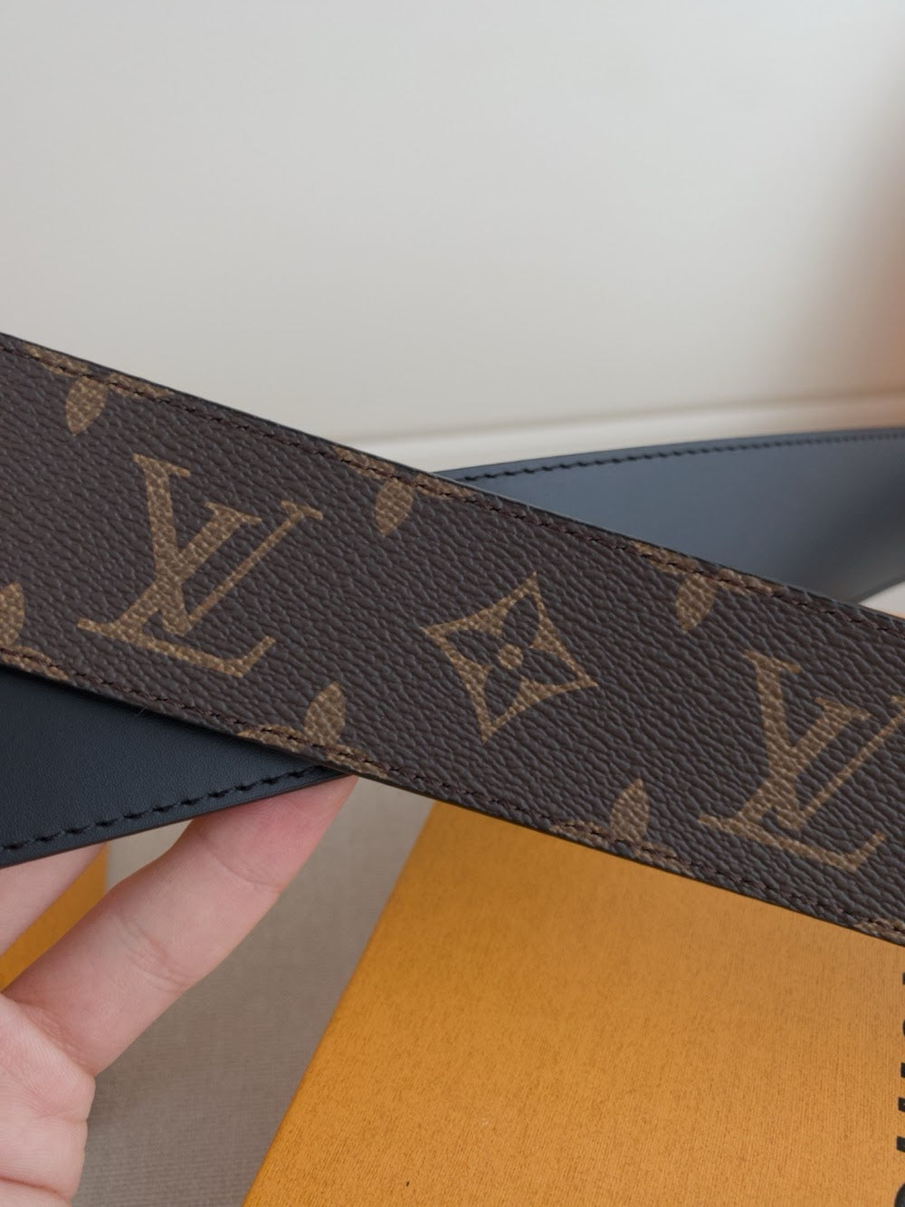 Dragons Bags ln Luxury Belt --109593
