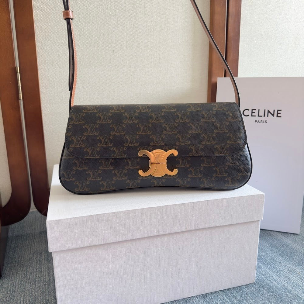 Dragons Bags Celine Luxury Bag --112509