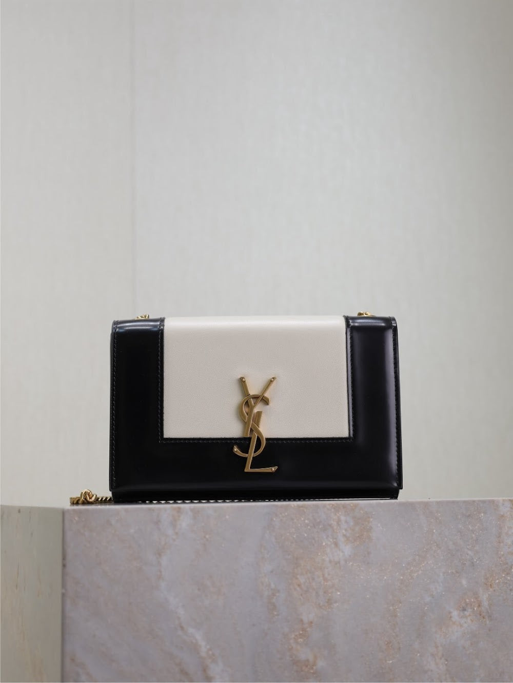Dragons Bags YSLn Luxury Bag --120548