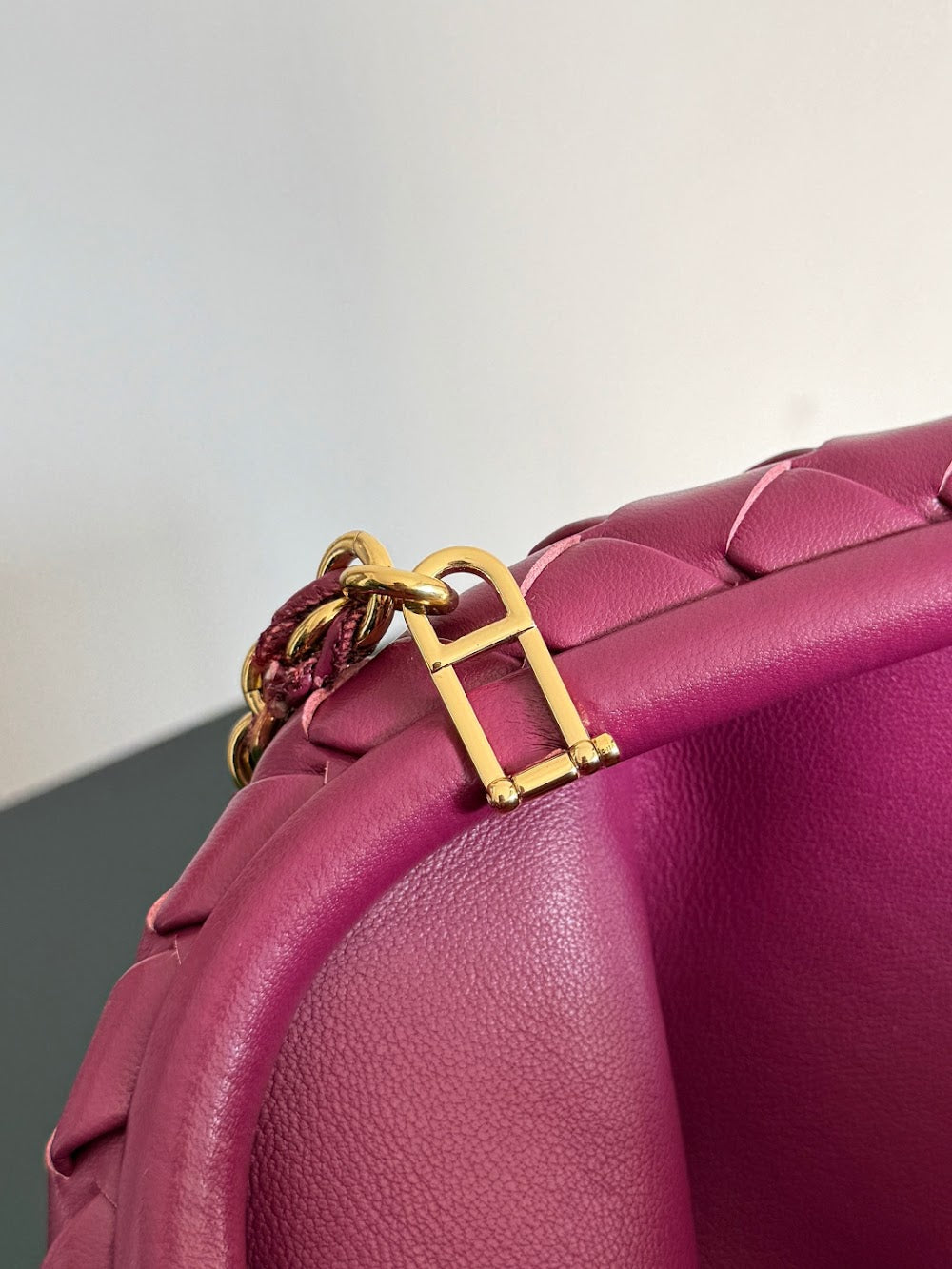 Dragons Bags Bottegan Luxury Bag --91301