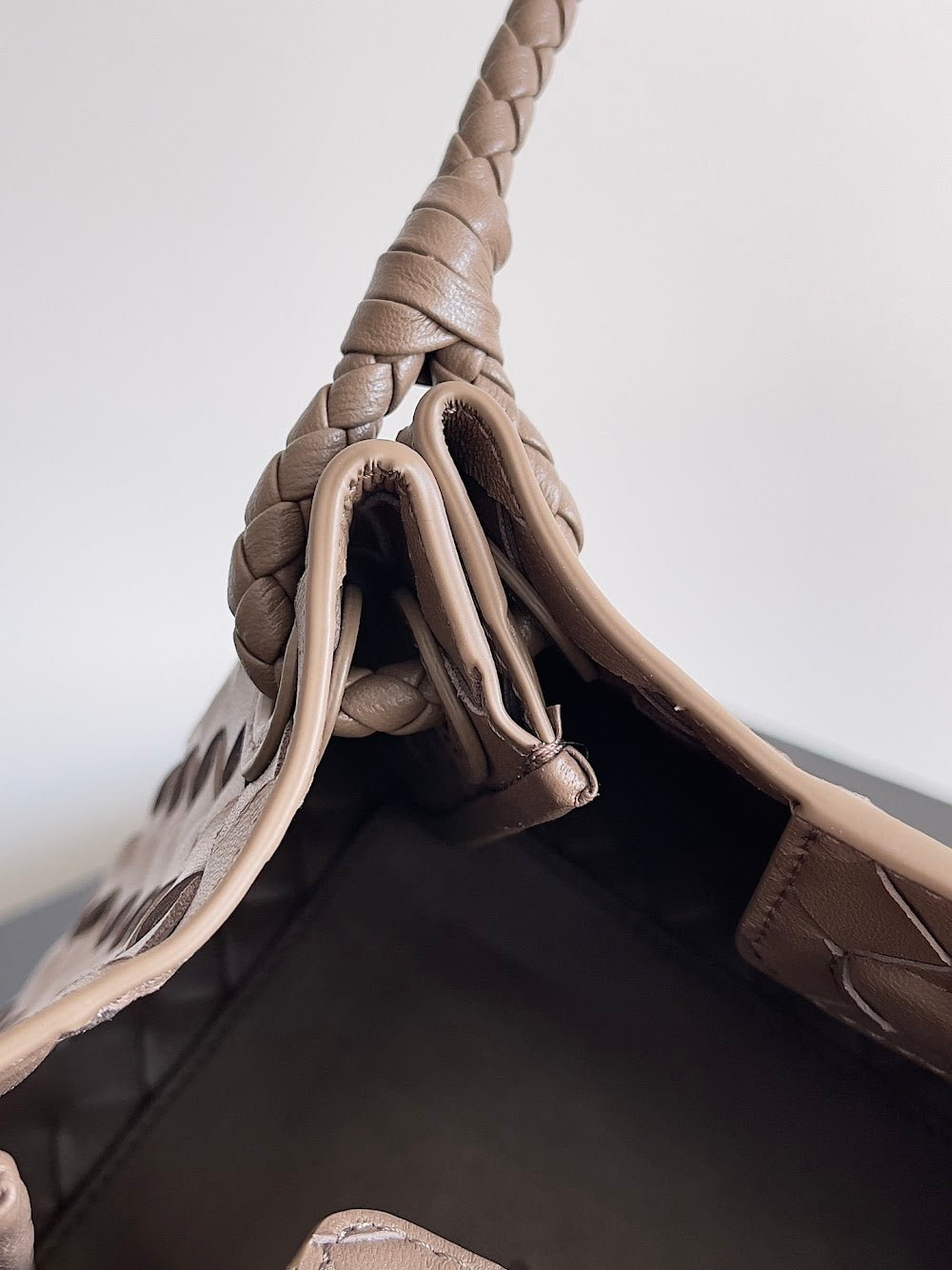 Dragons Bags Bottegan Luxury Bag --90962